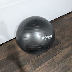 Trideer Exercise Ball for Yoga, Pilates & Fitness – Stability Ball Equipment for Home Gym & Office Chair, Core & Balance Training Accessories, Physica
