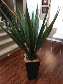 61 inches Artificial Plant with Pot - Brand New