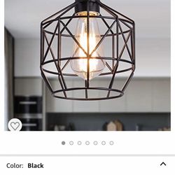 Light Fixture