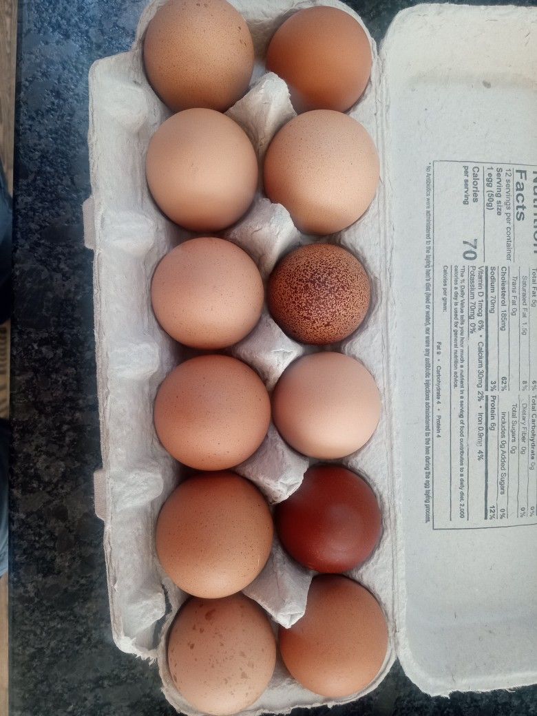 Farm Fresh Eggs