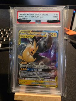 Pikachu and zekrom