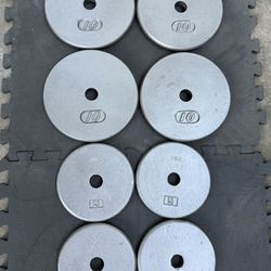 60 lbs Standard weights