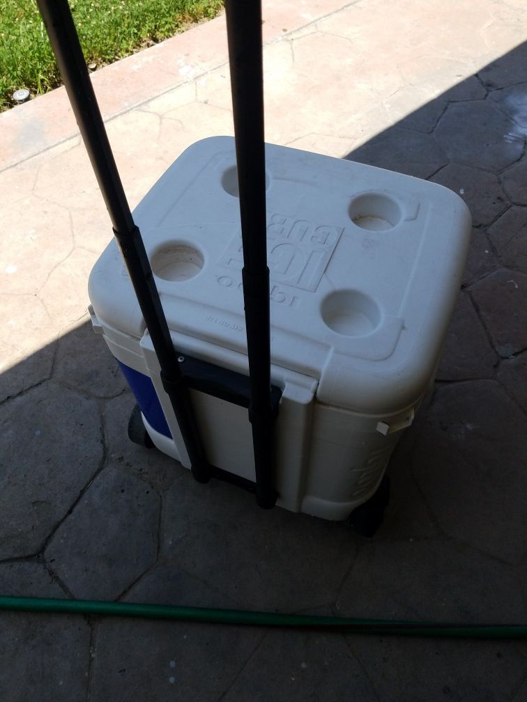 Igloo ice cube cooler