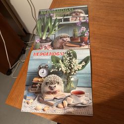 Set Of Two Wall Calendars “Hedgehogs” 2023 & 2025 Collectors Or Hedgehog Lovers