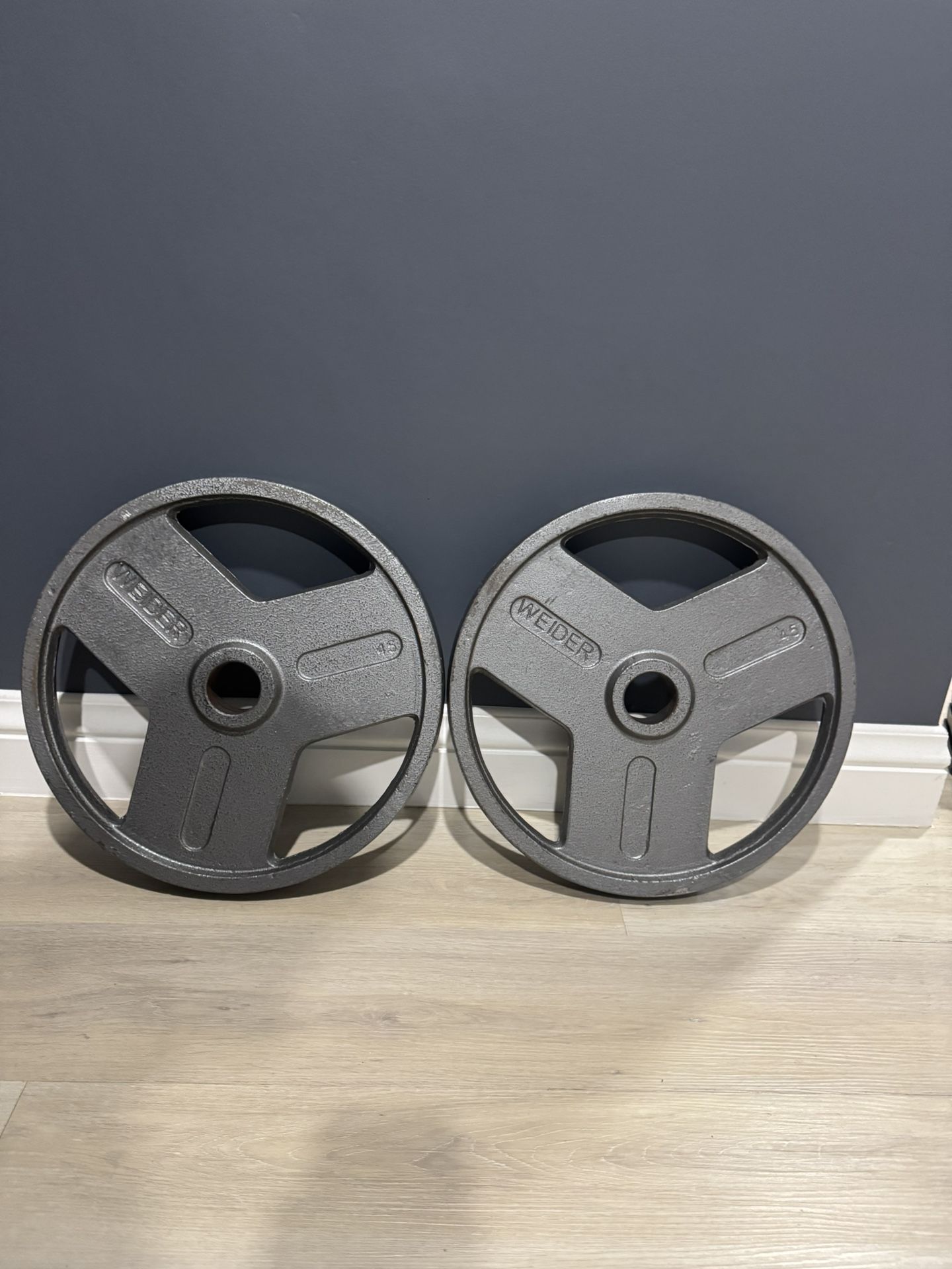 45lb Pair Olympic Weight Plates