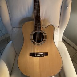 Zager 900CE Acoustic Electric 