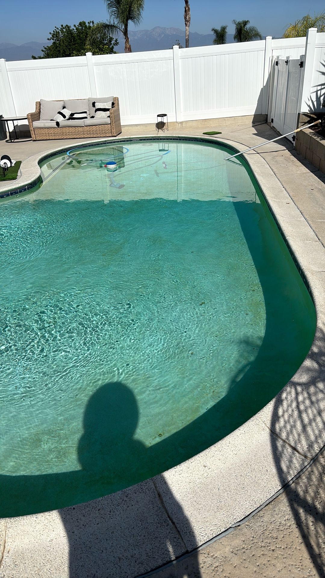 Need Pool Cleaning