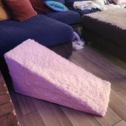Dog or Cat Ramp..