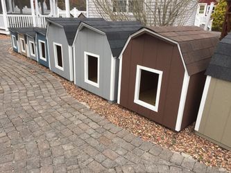 Dog House