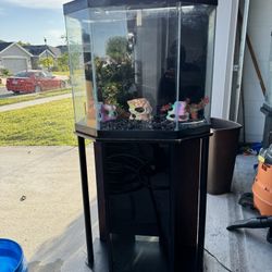 36 Gallon Aquarium 