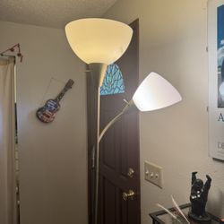 Dual Light Adjustable Lamp