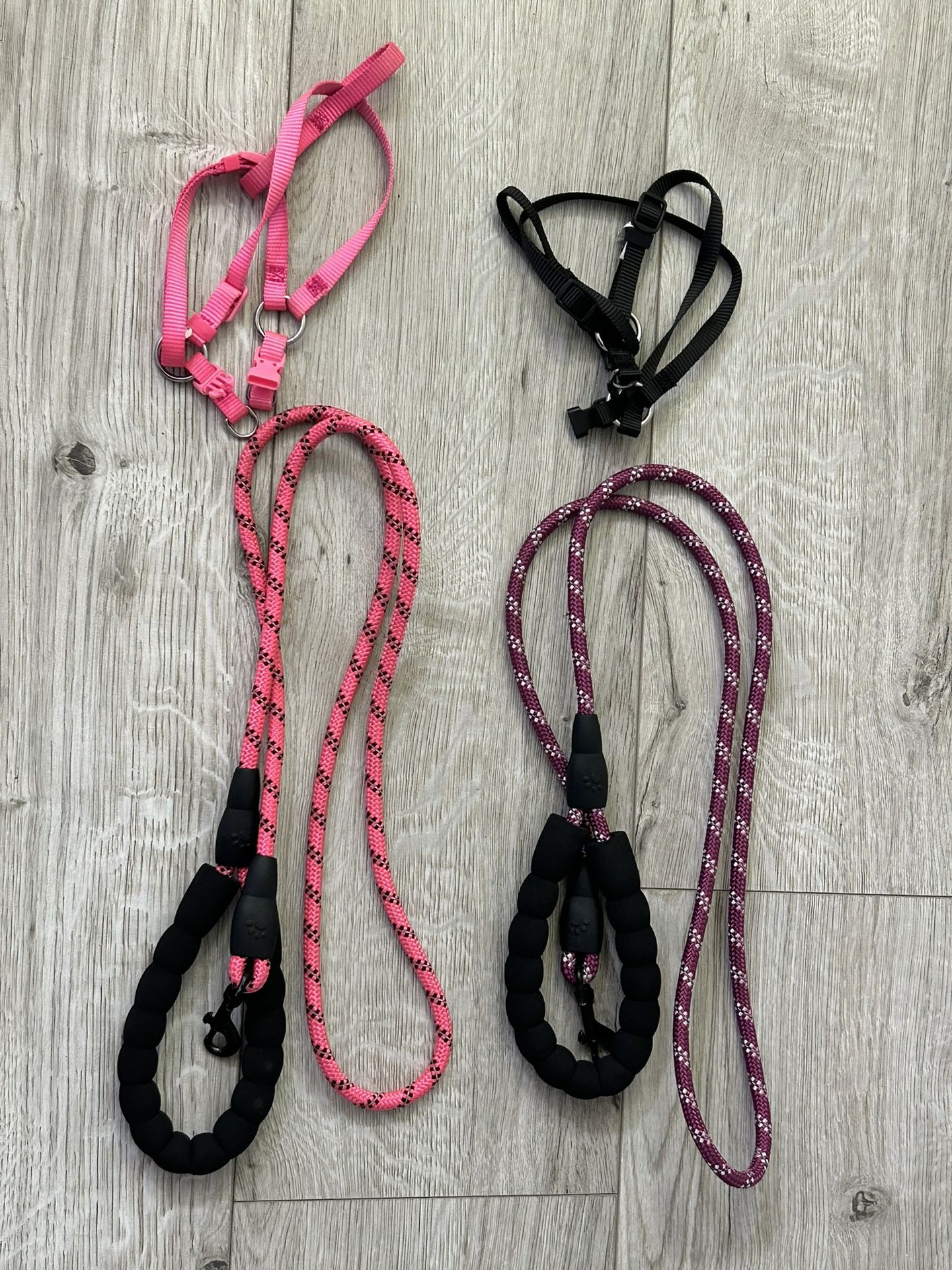 Dog Harness And Leash