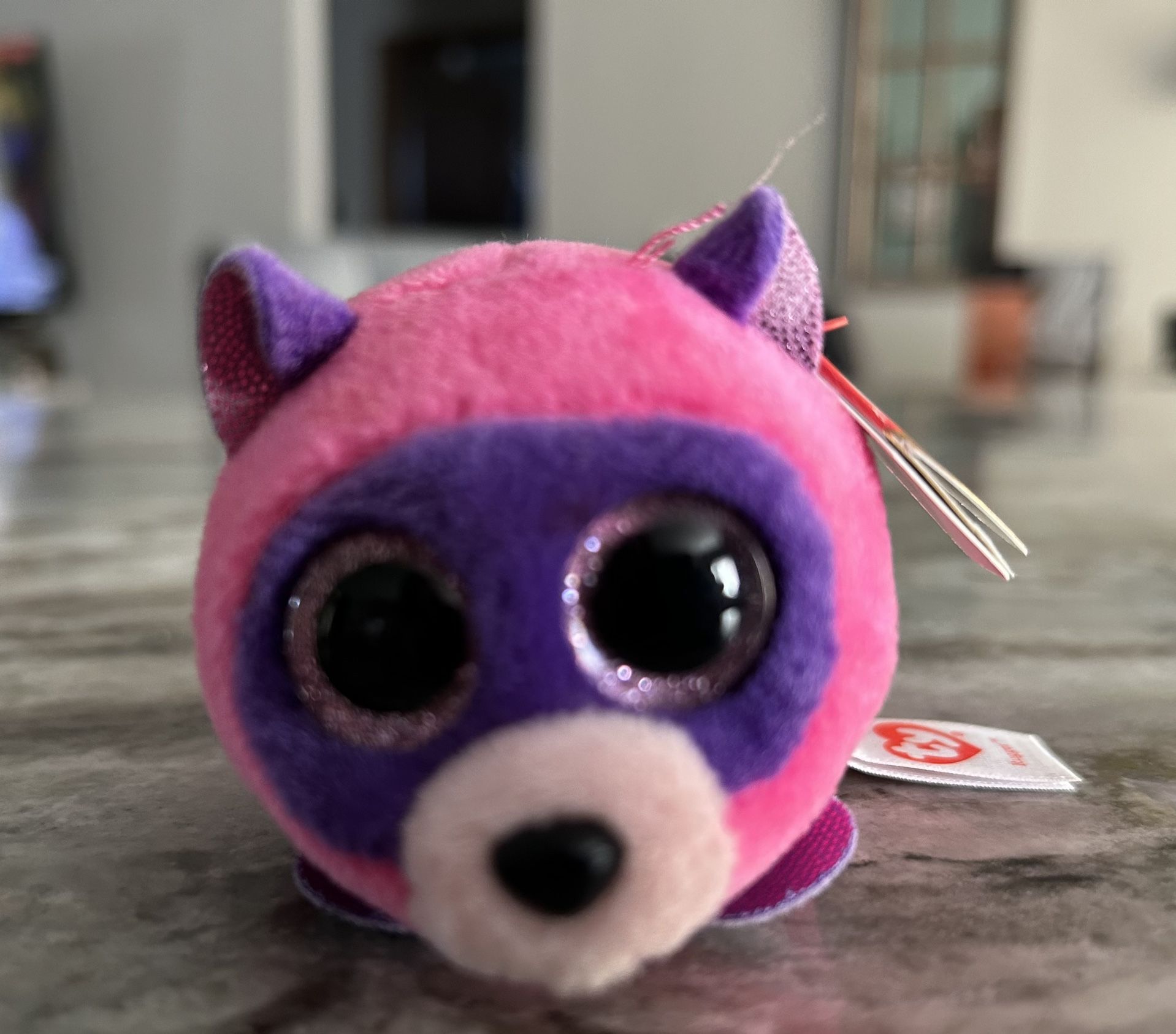 Teeny Tys rugger raccoon (brand New)
