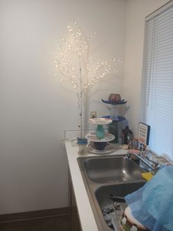 LIGHTED TREE