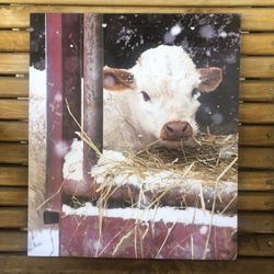 Winter Calf Canvas Print (15.6” x 18”)