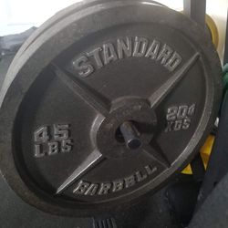 45 Lbs Olympic Plates 