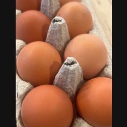Pasture Raised Eggs 