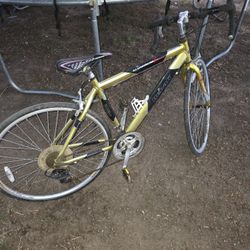 Denali Bike