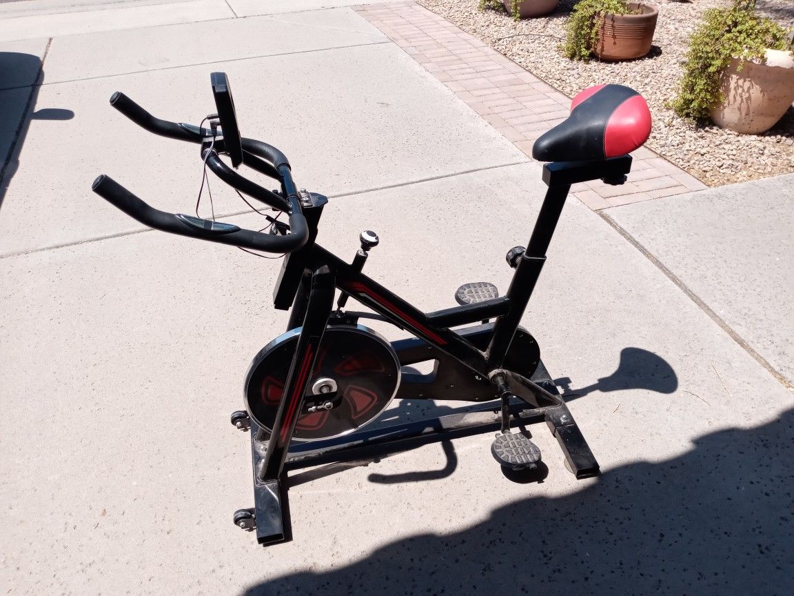 phoenix health & fitness 98623 revolution exercise bike pro i