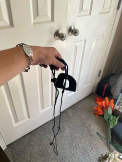 Reptile leash