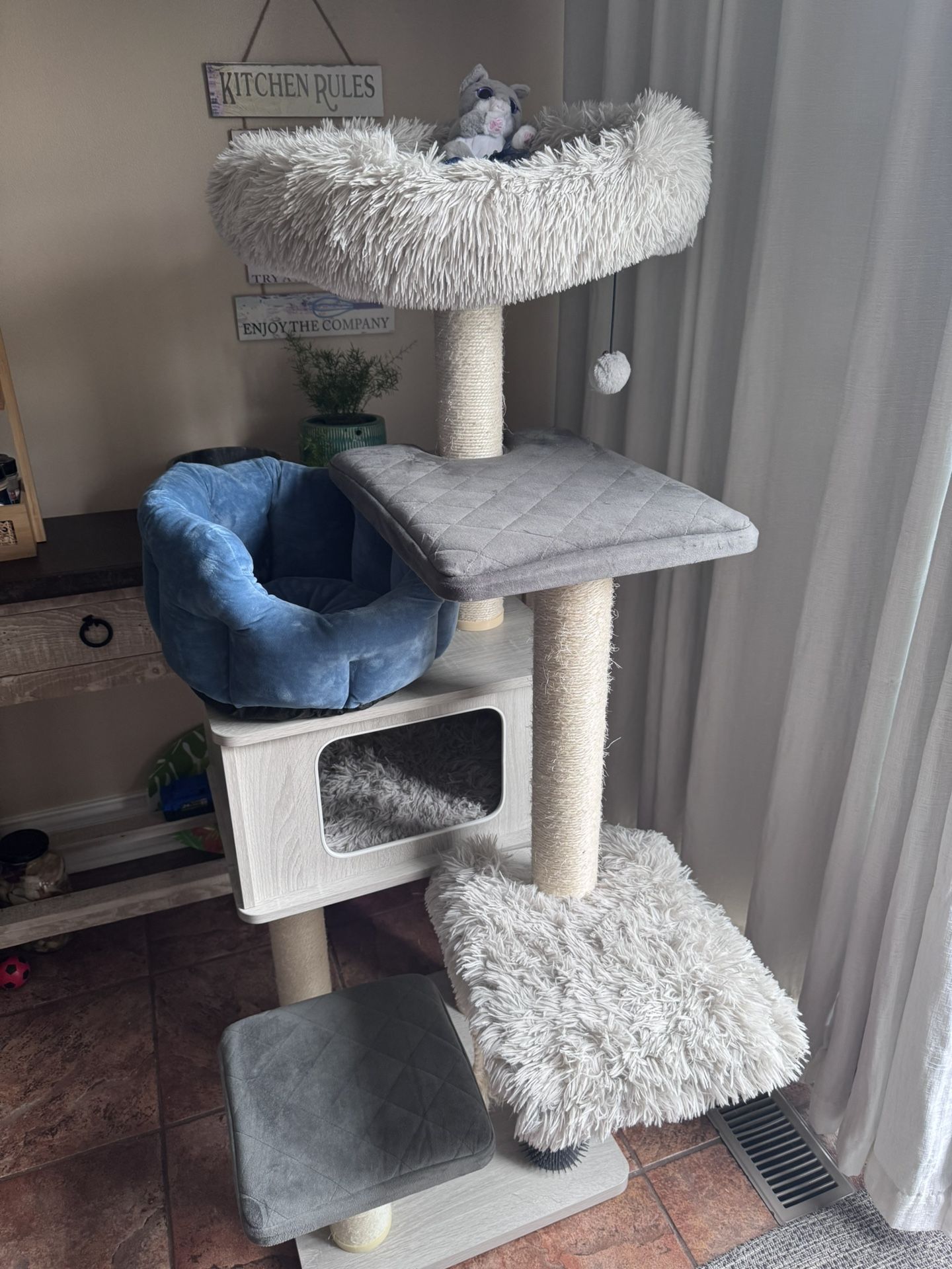 Cat House And Bed