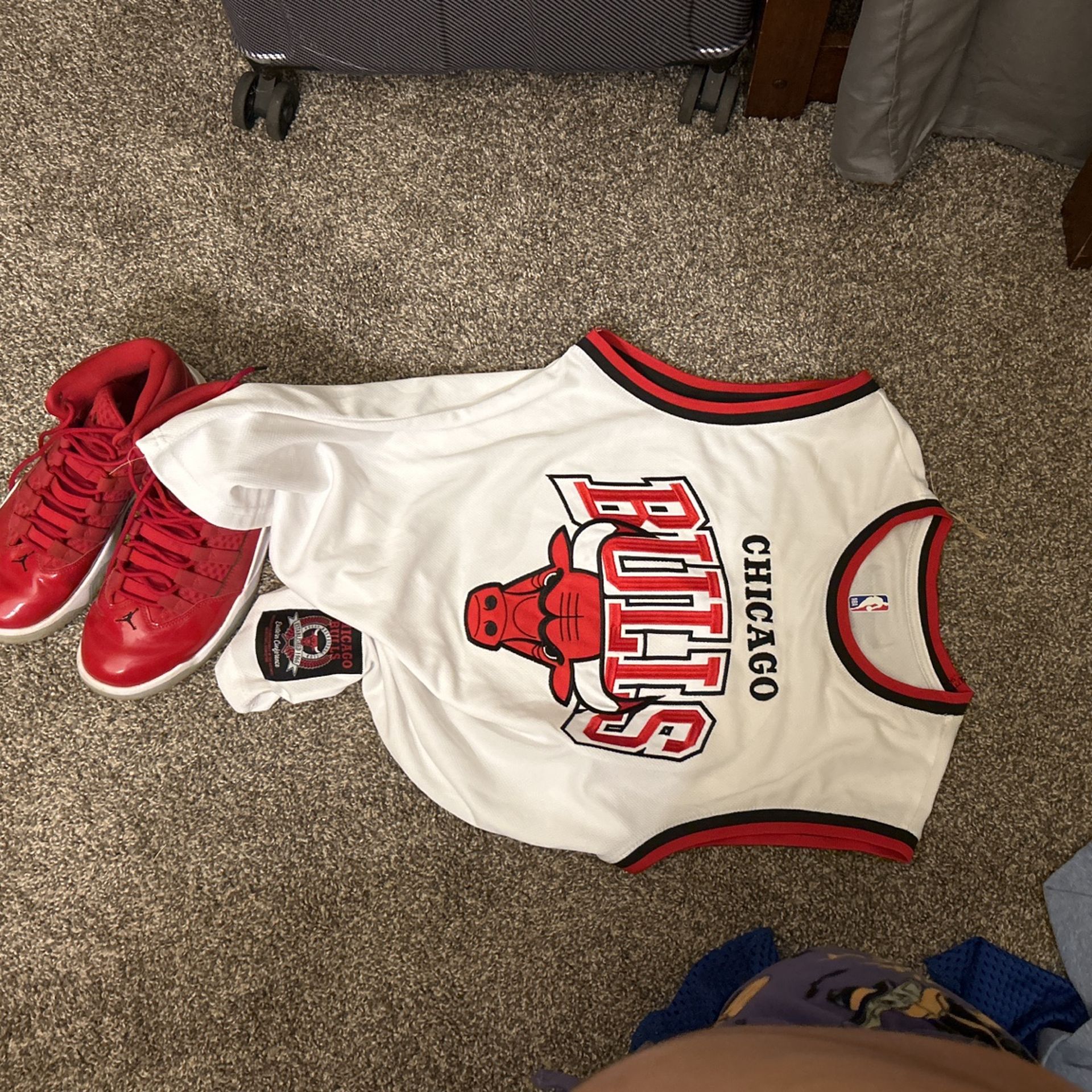 Chicago Bulls Jersey/Jordan 11S