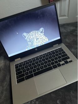 Hp Chromebook Laptop