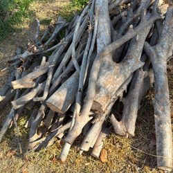 Chinese elm Wood