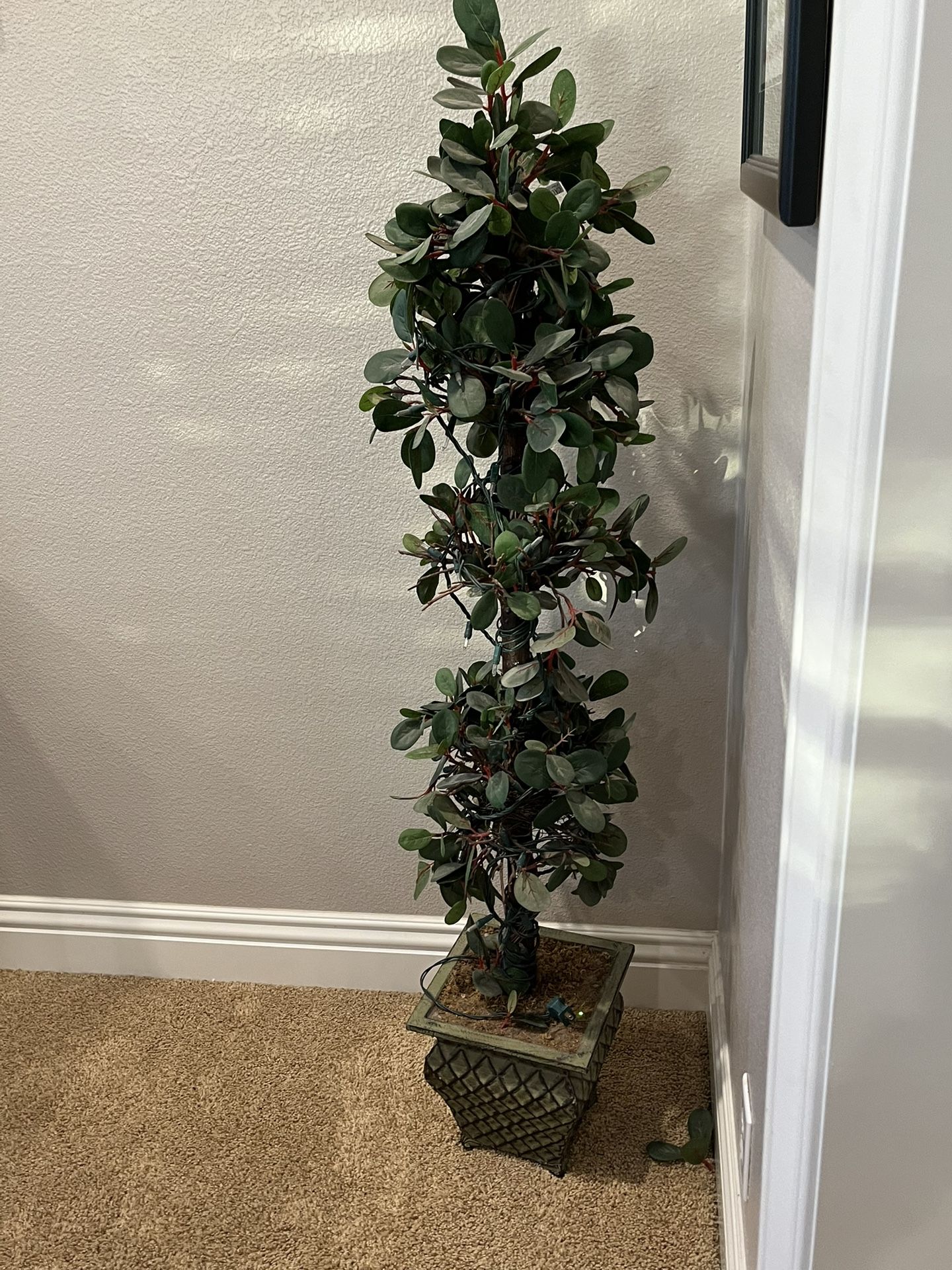 Designer topiary