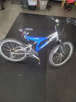 24" mountain bike with removable dog runner attachment