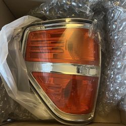 2009-2014 Ford F150 Taillight (Rear Left)