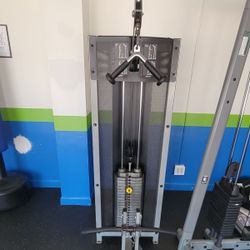 Life Fitness Arm curl and tricep Extension 