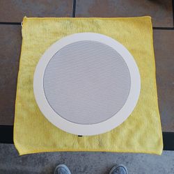 Ceiling Speaker