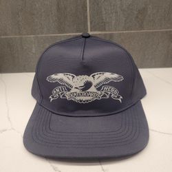 Antihero Skateboard Hat