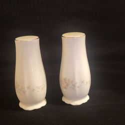 Vintage Johann Haviland Bavaria Germany Floral Splendor Salt & Pepper 
Shakers  Great shape. Made in German. 4.25” tall. Great shape, no chips 
or cra