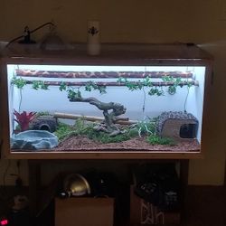 Selling Wooden Reptile Cage With Everything Inside Included!!!