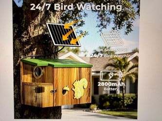 Brand new squirrel box with live camera recording