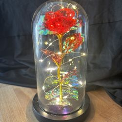 Rose In Glass