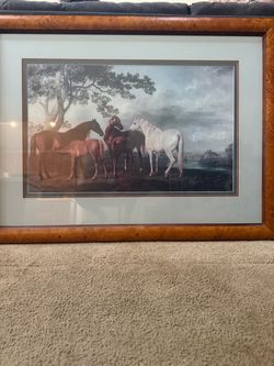 Horse photo picture framed
