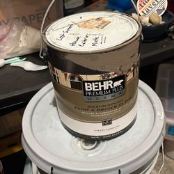 1 Gallon Paint