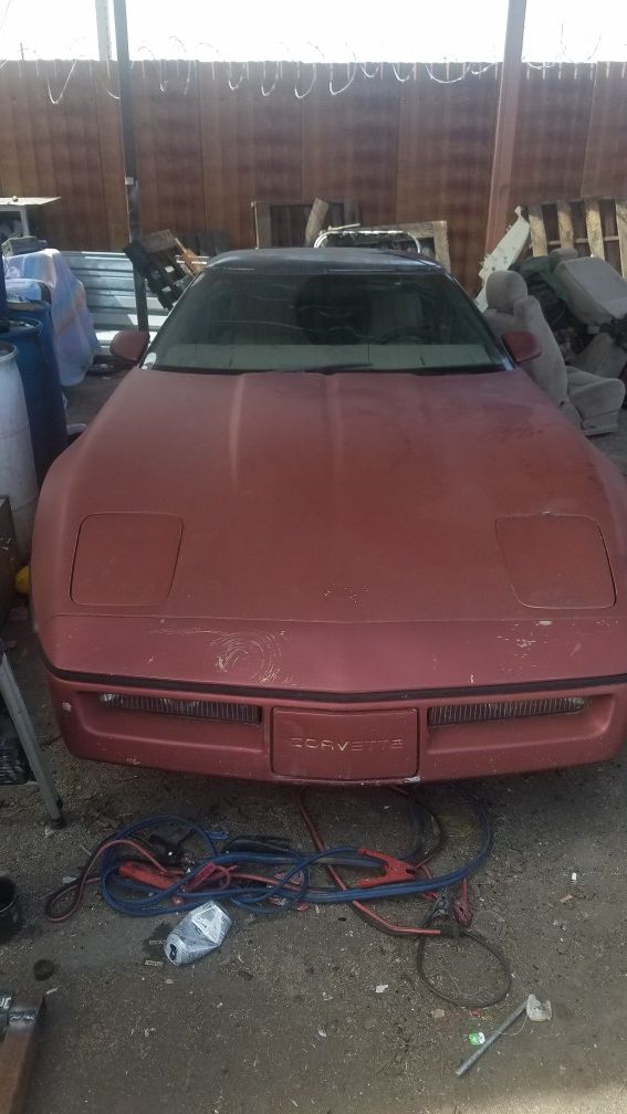 1984 corvette