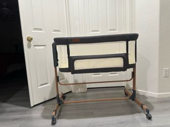 Bassinet and bedside sleeper