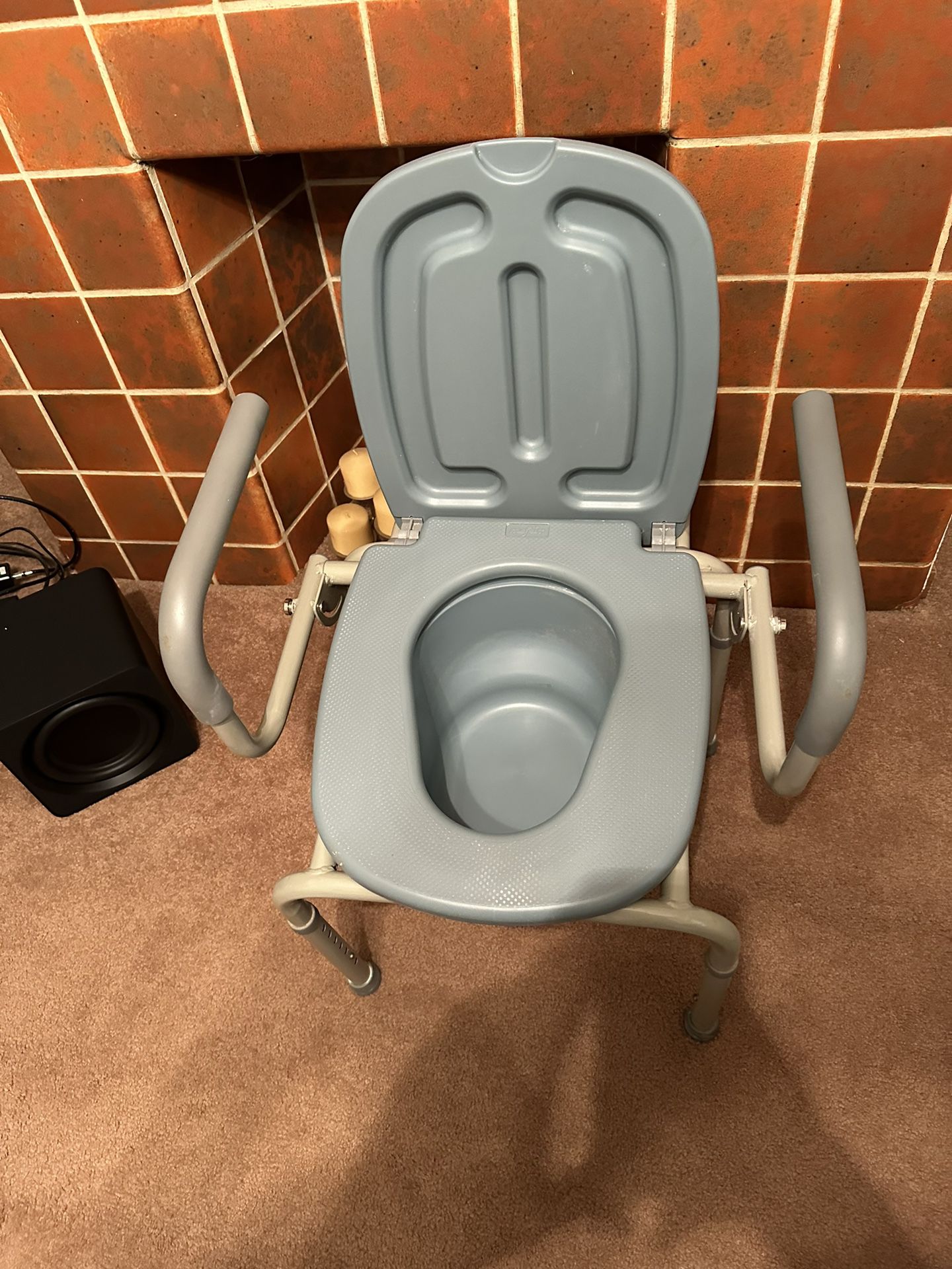 Potty Chair/Bedside Commode