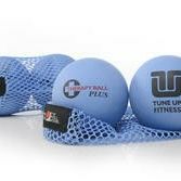 Therapy Ball PLUS pair in tote