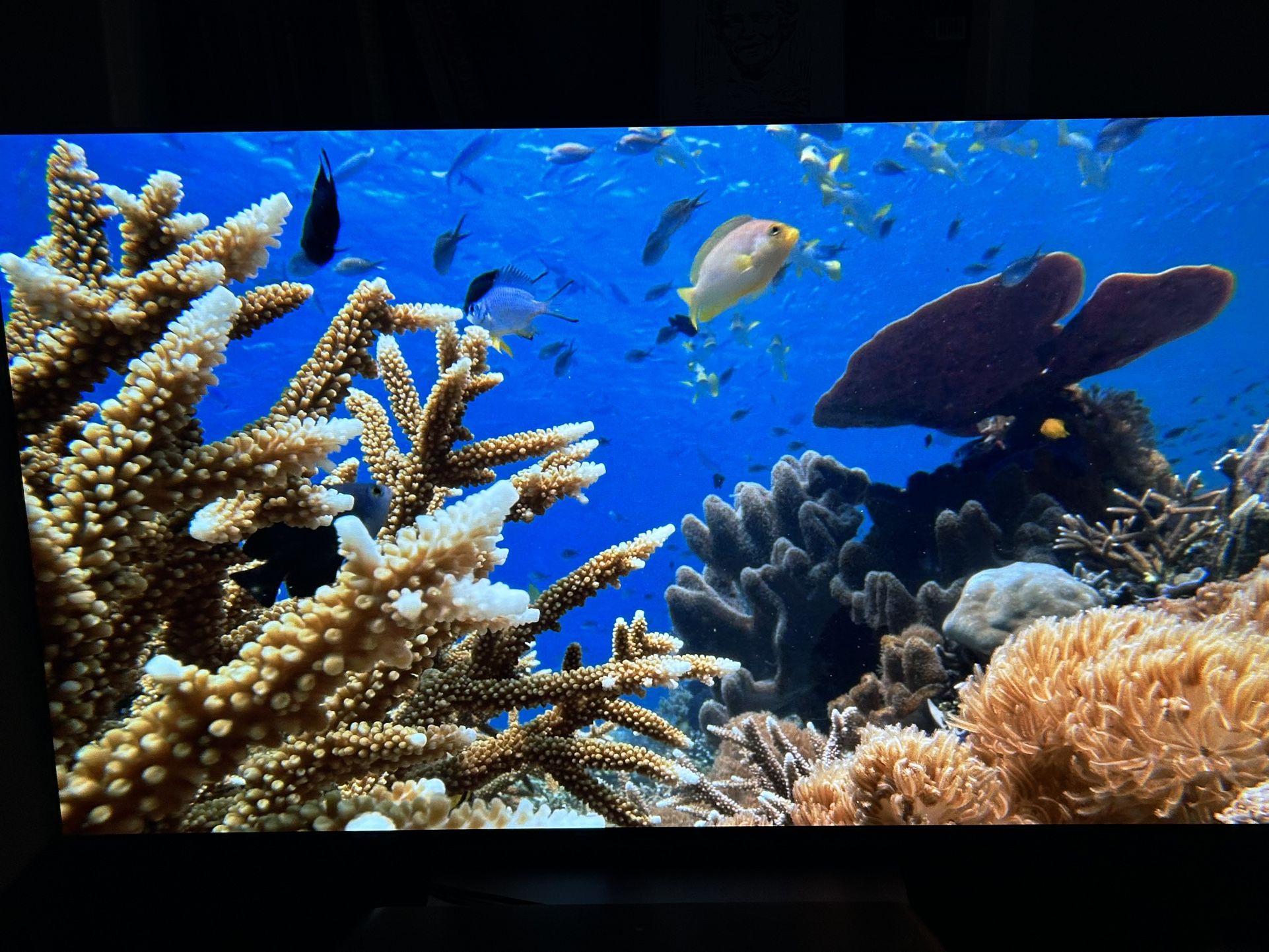 55” LG C2 OLED