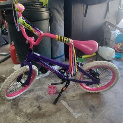 16 Inch Bike