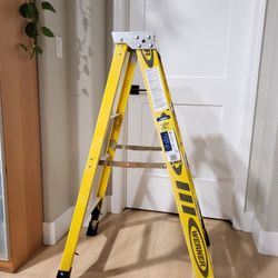 WERNER LADDER
