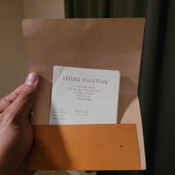 Louis Vuitton Back Pack