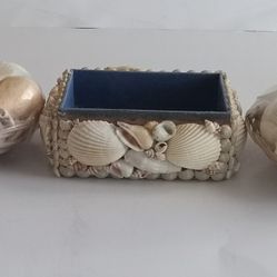 Seashell Trinket box W/ 2 Packages Of Shells