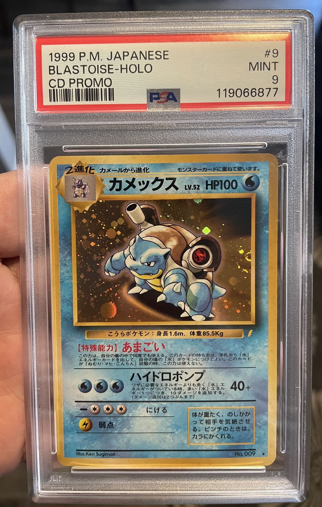 Pokemon! Japanese Blastoise